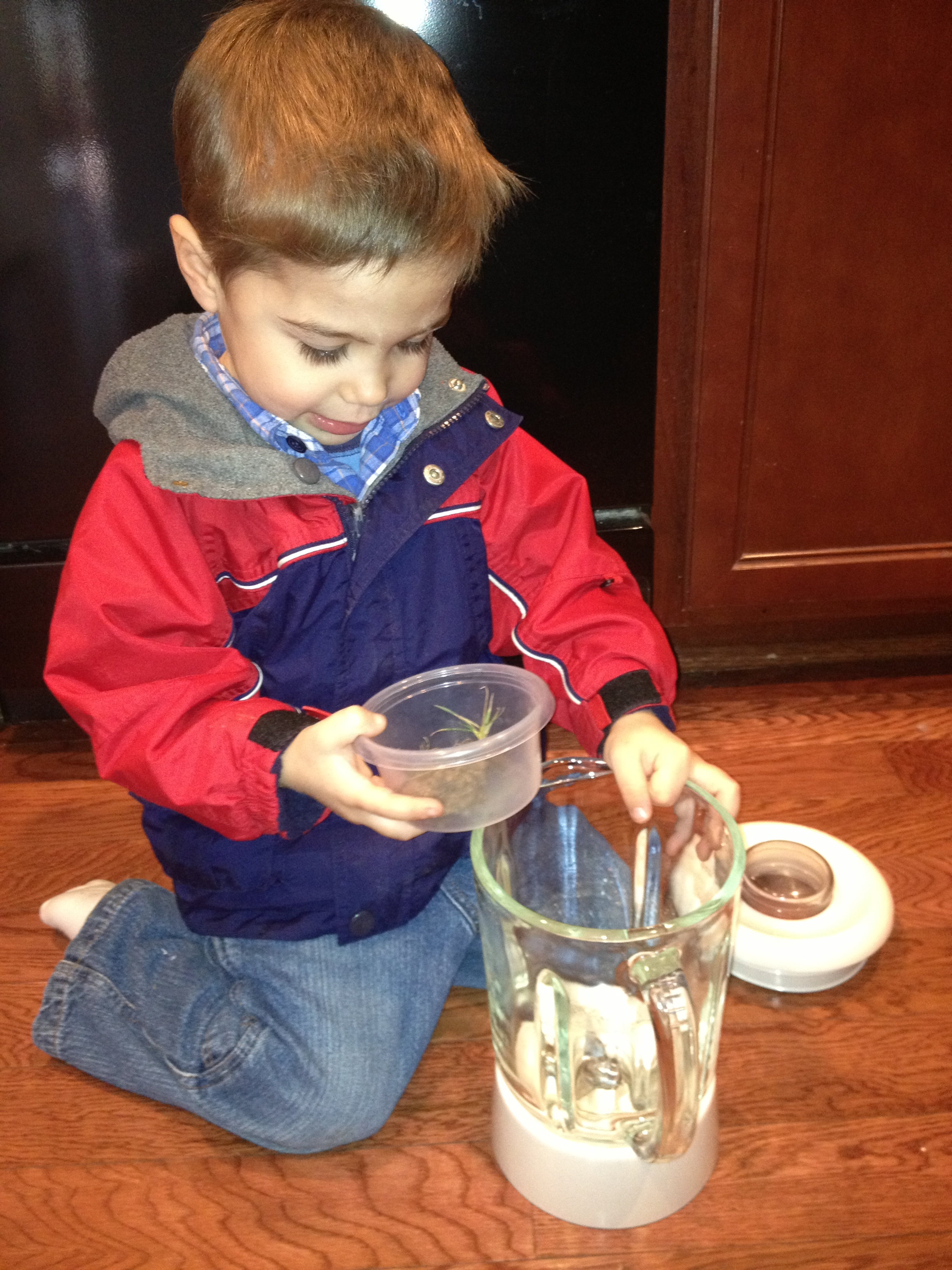 snake smoothie blender