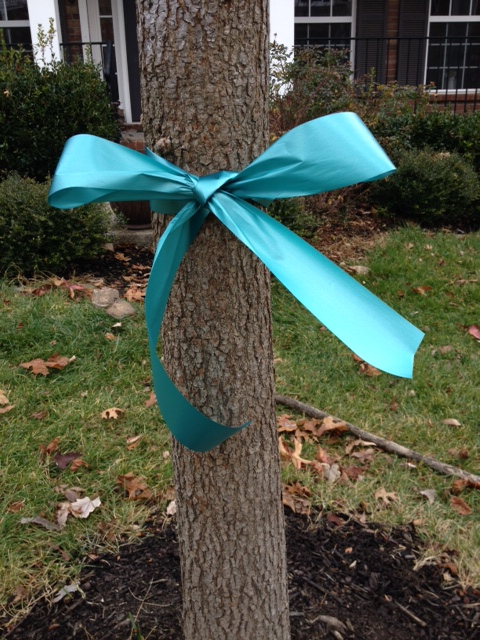 teal ribbon