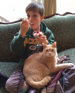 jd and parfait