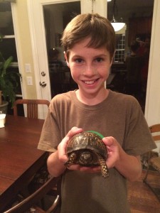 josiahwboxturtle