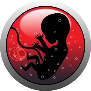 embryo-159691