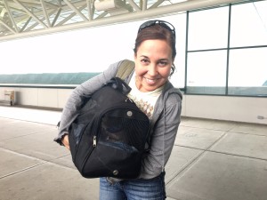 Traveling with cat